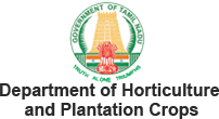 Horticulture Ooty